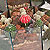 cactus gardens terrarium @ ApopkaFoliage.com